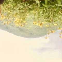 Moss Box
