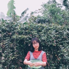 Hải Anh
