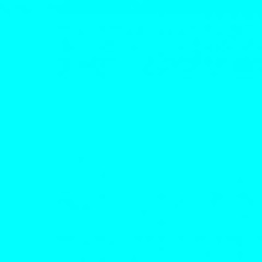 barramundi_96