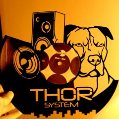 SymHor - Thor System