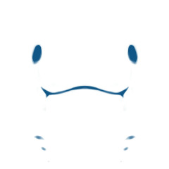 심해가오리