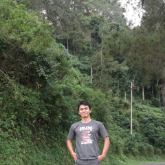 Restu Sudarsono