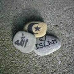 mohamed ilham