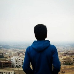 Mahmoud S. El Moghazy