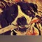 User 155823062