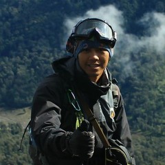 Noe_Msv