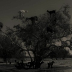 Een Andere Maatschappij