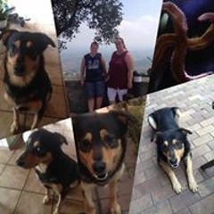 Walter Willi Rasehorn