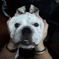 Bút Bi