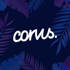 Corvus