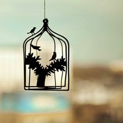 GRUPO EQUILÍBRIO - NOVA SEMENTE