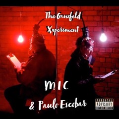 Mic (My Insane Consciousness)