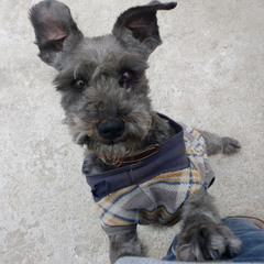 Fernando Velasco Roldan