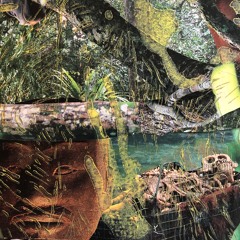 secretary of defense