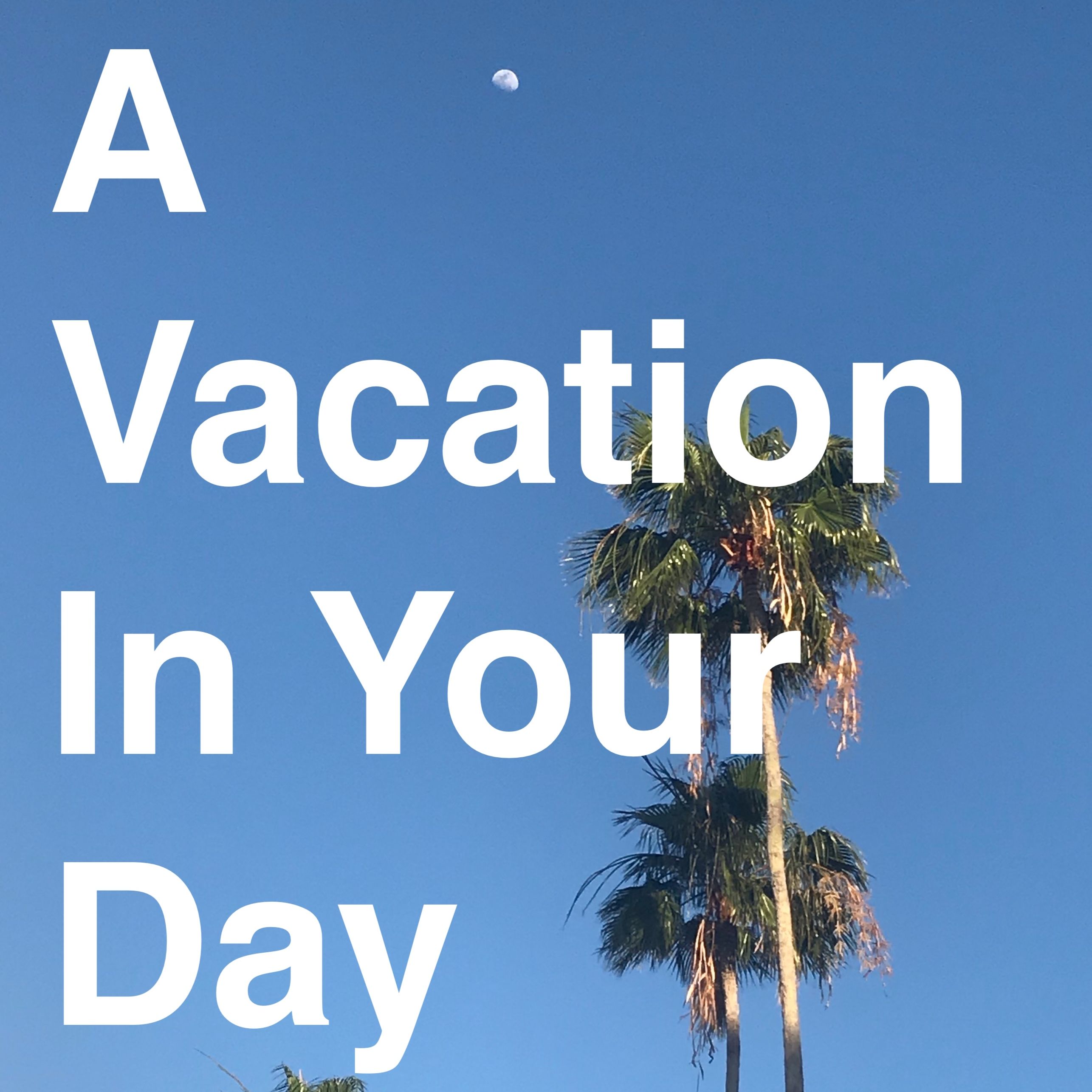 A Vacation In Your Day