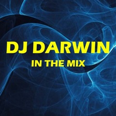 Dj Darwin in the mix