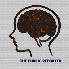 The Public Reporter