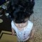 Adham Mershed
