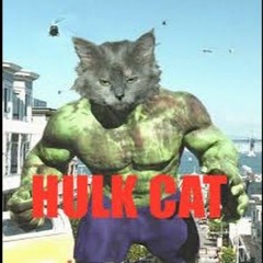 Hulk Cat