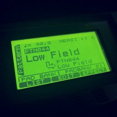 Low Field