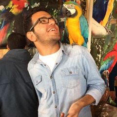 ahmed youssef 44