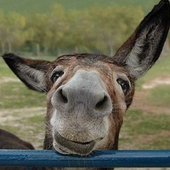 Ota qizini anal jinsiy aloqa qilishga majburlagan