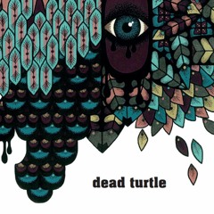 Dead Turtle