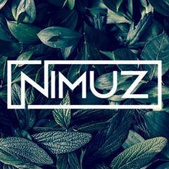 Beats by Nimuz
