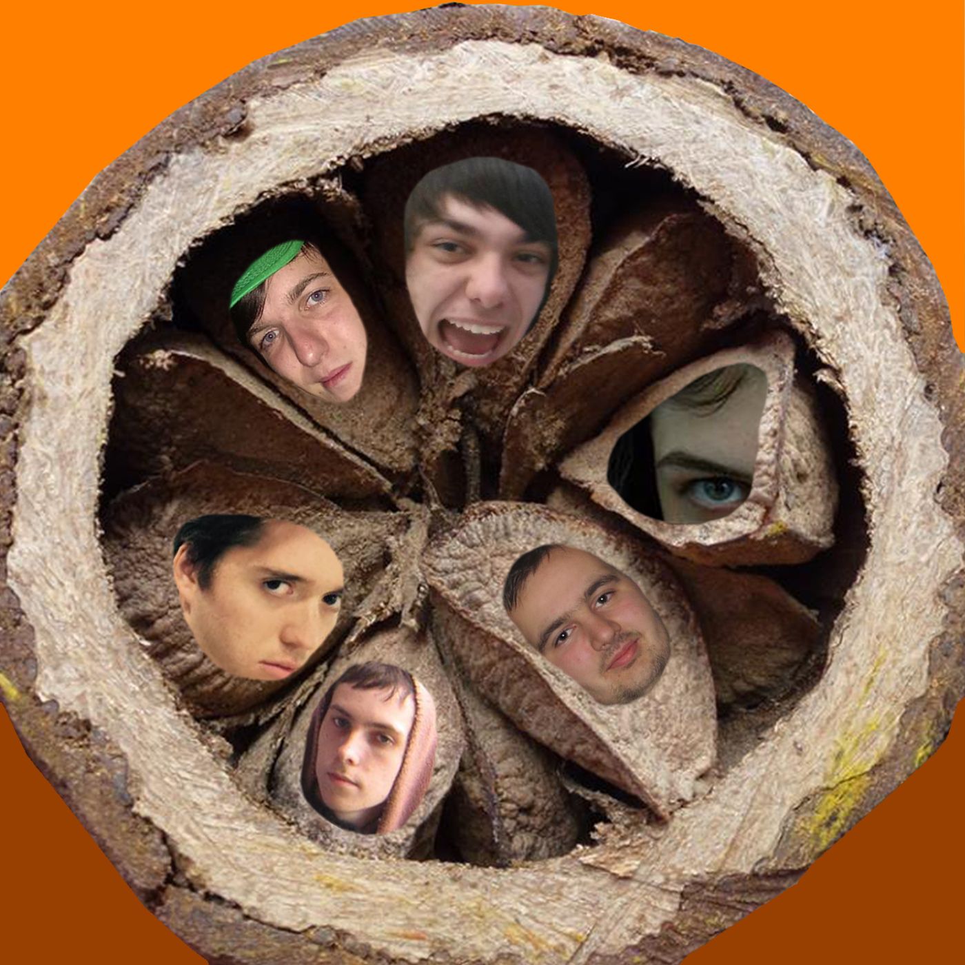 In A Nut Pod