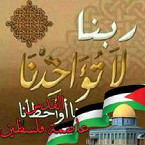 Mohamed Hassan’s avatar