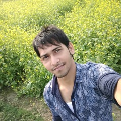 Ridoy Dipu