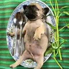 Tôi Đang Nghe Cái Gì Đây  Những Bản Nhạc EDM Quẩy Thailand Hay Nhất Đang Hot 2018 Phần 1