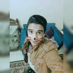 AhMed N. AbdelĶarim