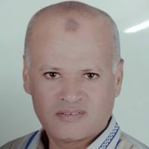 Mahmoud Arian El Abd’s avatar