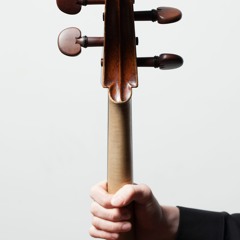 voxcello