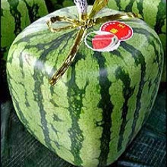 Jens Hillebrand Pohl