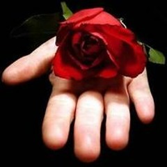 User 522263060