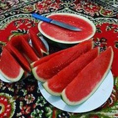 Karem Youssef