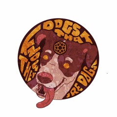 Dogs That Know They're Dogs