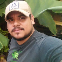 Weslle Ferreira