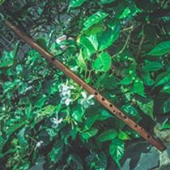 Nguyễn Lê Thiện Hiếu