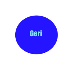 Geri Gameplay