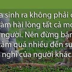Trung Lam