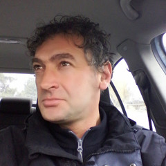Florin V