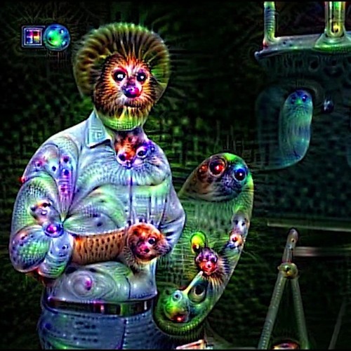 Koa Lei LSD’s avatar
