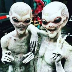 T.E.L.T. II