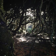 Brennan Struif Music