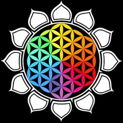 CREATE MOMENTS // DIRIGE