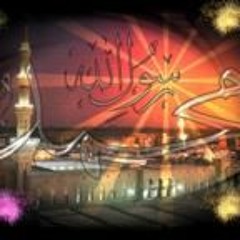 Alaa Mohamed