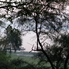 Sai Prasath